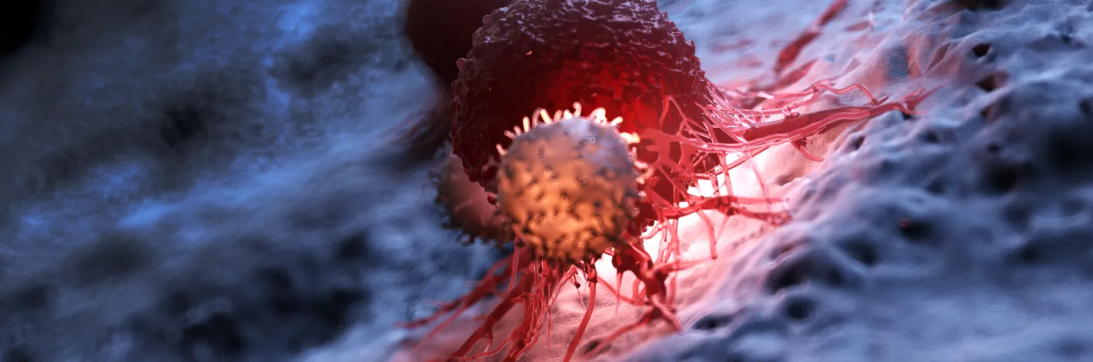 cancer cell and wb cell